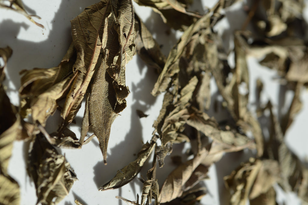 Bulukutu Tea