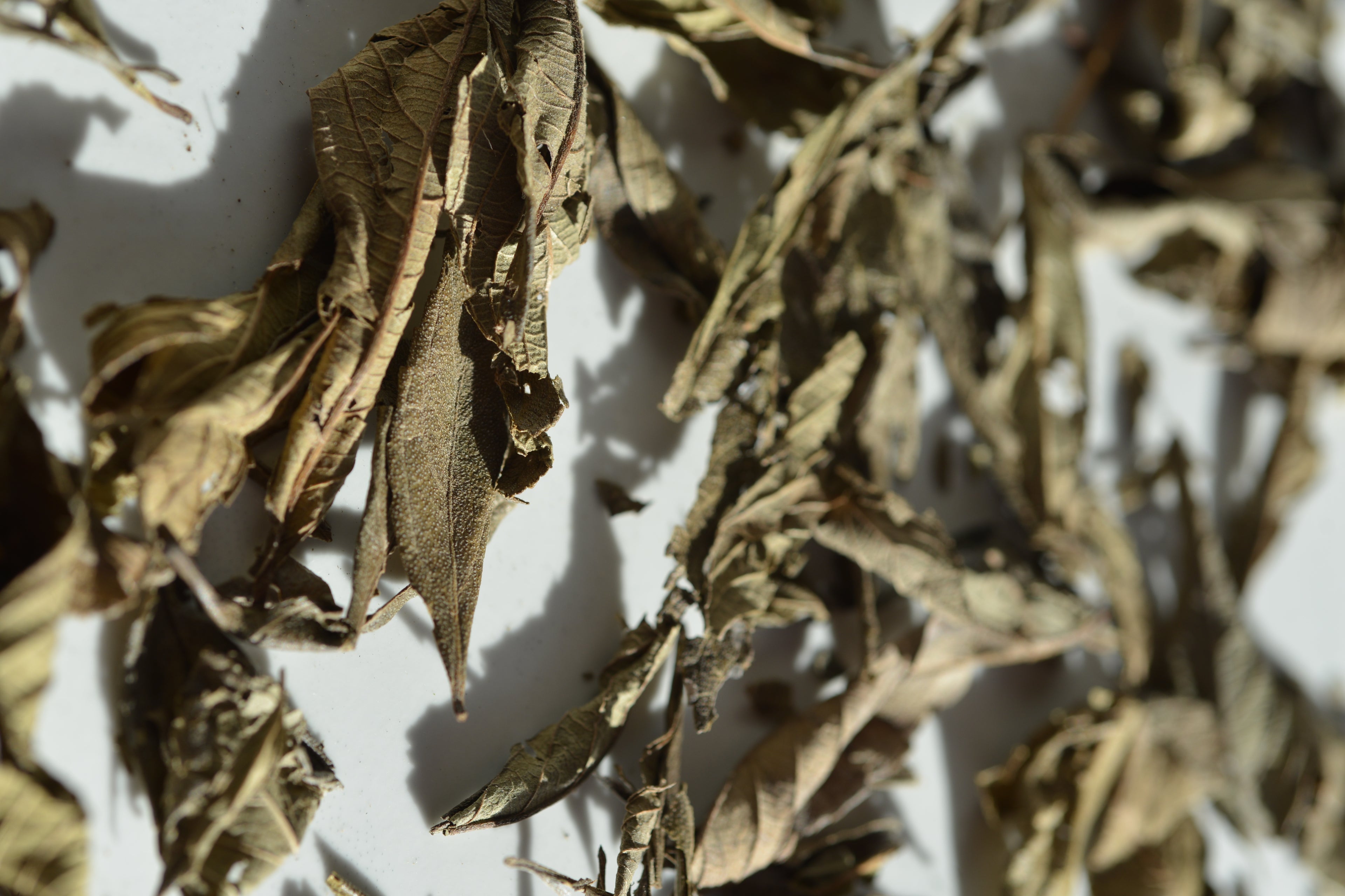 Bulukutu Tea