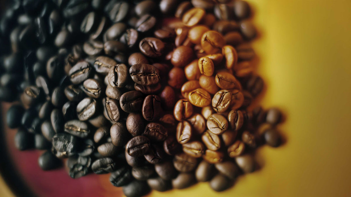 Congolese Coffee Beans